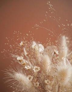 O?? acheter des fleurs s??ch??es pour son mariage ? - Le Blog de Madame C Flower Delivery
