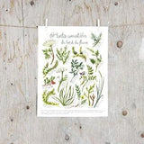 Print Edible plants by the St. Lawrence River | Poster botanical paintings, Print edible and medicinal plants | Wild foraging by the sea