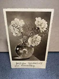 Carnations In Vase Postcard