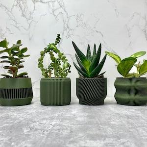 Modern Mini Planters Set of 4, Three Set Cute Small Planters, Indoor Succulent Pots, Geometric Cactus Planters in Army Green, Bioplastic