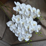 White Orchids Real Touch Flowers Phalaenopsis True Touch Artificial Orchids DIY Silk Wedding Bouquets Wedding Centerpieces