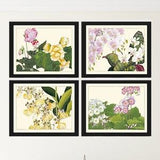 Begonia Orchid Wall Art Print Set of 4 Beautiful Horizontal Orientation White Pink Botanical Dining Room Bedroom Home Decor to Frame ZUFU