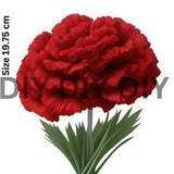 Carnation PATCH Iron on heat transfer any garment DTF patches