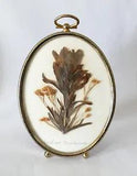 Vintage Dried Pressed Flowers Oval Picture Frame Convex Glass Indian Paintbrush