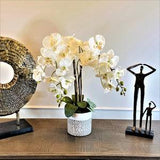 BEAUVAL PARIS - 5 stems REAL Touch Orchid Arrangement - White orchids in a ceramic pot - Birthday gift idea - Grey Home decor - Mother's day