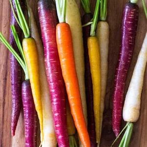100 seeds Organic non-GMO Rainbow carrot sun sweet and crispy
