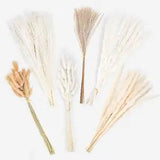 Pampas Grass Decor Bouquet 17 Inches Dried Flowers for Room Home Office Boho Fal
