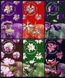 Romania 2009 Mountain Flowers Edelweiss/Alpine Aster/Large Pink/Bell/Lily MNH