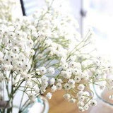 Gypsophile : entretien, plantation pour une belle floraison Flower Delivery