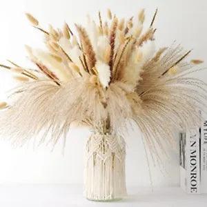 Dried Pampas Grass Decor - 120 Pcs Dried Flowers for Vase Pompas Grass Decor,