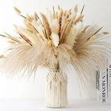 Dried Pampas Grass Decor - 120 Pcs Dried Flowers for Vase Pompas Grass Decor,
