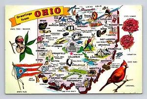 Greetings Ohio Buckeye State Flag Cardinal Bird Carnation Flower UNP Postcard
