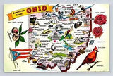 Greetings Ohio Buckeye State Flag Cardinal Bird Carnation Flower UNP Postcard