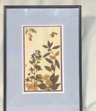 Vintage Japanese Hawaiian Framed Botanical Aesthetic Art