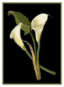 Calla Lily Flowers inspired Mary Delany Counted Cross Stitch Pattern