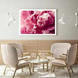 Pink Peony Flower Photograph View Print Premium Poster High Quality choose sizes