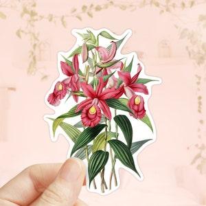 Sobralia Macrantha Sticker, Orchid Flower Sticker, Die Cut Sticker, Water Bottler Sticker, Laptop Decal, Vinyl Sticker, Notebook Sticker