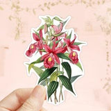 Sobralia Macrantha Sticker, Orchid Flower Sticker, Die Cut Sticker, Water Bottler Sticker, Laptop Decal, Vinyl Sticker, Notebook Sticker