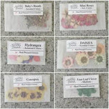 Nature's Pressed Real Dried Pressed Flowers Roses Hydrangea Daisies Craft Supply
