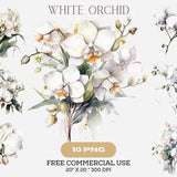 White orchid watercolor floral tropical clip art, hummingbird wedding exotic flower clipart, summer Bird of Paradise bridal party invitation