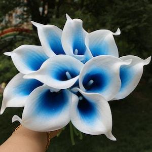 Picasso Blue Calla Lilies Royal Blue Calla Lily Bouquet 10 Stems For Bridal Bridesmaids Wedding Centerpieces Corsage Flowers MTL-FLN010