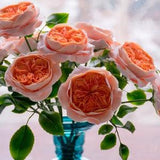 Artificial David Austin roses bouquet, peach blush fake English roses arrangement, summer real touch roses, realistic 3D floral centerpiece