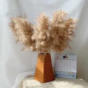 Pampas Grass Decor Natural Fluffy Dried Flowers Home Decor Room Pampas Grass