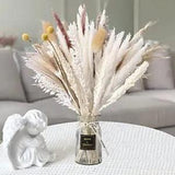Pampas Grass Decor 100pcs Dried Flowers 10 Kinds Pompous Grass 17.32in Pampas