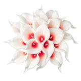 20Pcs Artificial Calla Lily Flower Real Touch Latex Flowers for DIY White Red