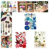 Dried Pressed Flowers Real Petal for Crafts Epoxy Resin Filling Jewelry Art