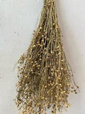 Dried Flax Pods Flowers Bunch for crafting floral decor prim rustic seed pods