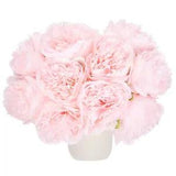 Artificial Flower Heads, Silk Peony Hydrangea Light Pink Faux Flowers 10Pcs