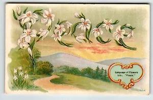 Lily Flowers Peace Postcard The Household Journal Magazine Unused Vintage 2214