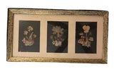 Vintage Framed Pressed Flowers Wall Art