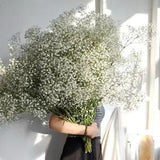 White Natural Dried Dried Flowers Home Decoration Wedding Table Decor Floral DIY