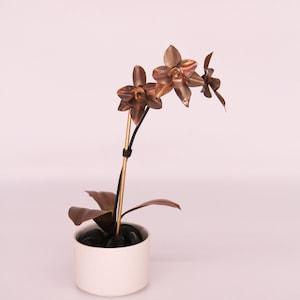 Orchid #2 Copper
