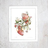Print Beeing in love | Poster Anatomical and Botanical paintings, Print Flower plants | Blooming Hearts | Valentine Day, Wedding Gift