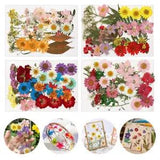 Mixed Real Dried Pressed Flowers Epoxy Resin Jewelry Making Art Craft DIY Tools