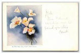 1907 Sego Lily UT Utah State Flower Undivided Postcard Posted fro Salt Lake City