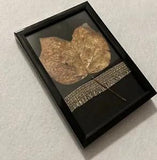 Poplar Leaf In Frame