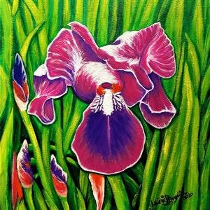 IRIS ORCHID, Original Acrylic painting on paper