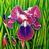 IRIS ORCHID, Original Acrylic painting on paper