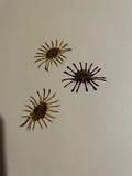 Pressed Dried Flowers All Natural Not Dyed Or Coloured Daisy Pinwheel