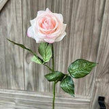 Real Touch Rose-17inch Long stem blush soft pink -Centerpiece Bouquet Corsage Boutonniere DIY Cake topper
