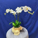 White orchid art polymer clay with driftwood planter, clay flower bouquet, wood orchid pot clay decor