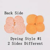 12PCS real Pressed dry hydrangea Flower, 13 colors flower for art craft FCD07 #1