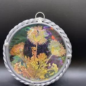 Vintage Pressed Dried Flowers Wall Hanging 4.5" Round Silver-toned Spiral Frame