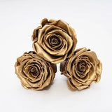 XL size single preserved rose, Metallic preserved rose, Gold rose, Bronze rose, Silver rose, infinity rose, Ecuadorian Preserved Rose