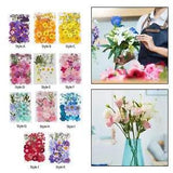 Dried Pressed Flowers Pressed Leaves for Resin Diy Cards Making Vase Filler