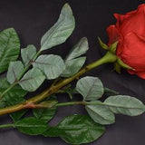 Red rose  Bouquet for home cold porcelain flowers Realistic roses  Real touch flowers artificial rose rose for Gift or home decor